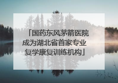 国药东风茅箭医院成为湖北省首家专业复学康复训练机构
