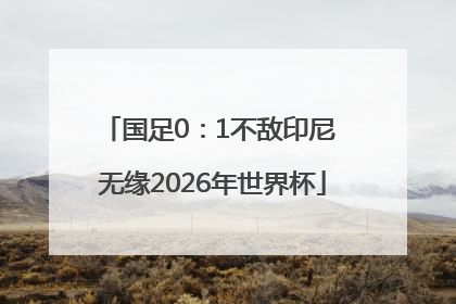 国足0：1不敌印尼 无缘2026年世界杯
