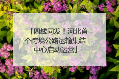 四线同发！河北首个跨境公路运输集结中心启动运营