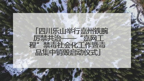 四川乐山举行嘉州铁腕 厉禁共治——“嘉网工程”禁毒社会化工作暨毒品集中销毁启动仪式