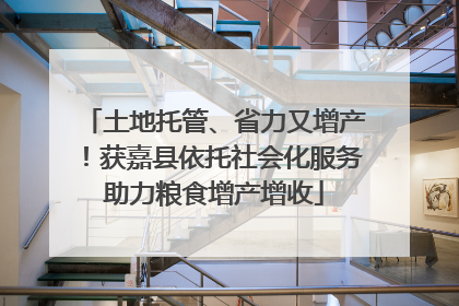 土地托管、省力又增产！获嘉县依托社会化服务助力粮食增产增收