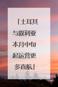 土耳其与叙利亚本月中旬起运营更多直航