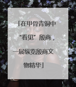 在甲骨青铜中“看见”殷商，一展纵览殷商文物精华