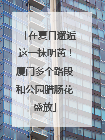 在夏日邂逅这一抹明黄！厦门多个路段和公园腊肠花盛放