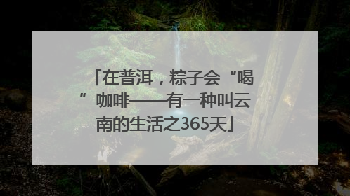 在普洱，粽子会“喝”咖啡——有一种叫云南的生活之365天