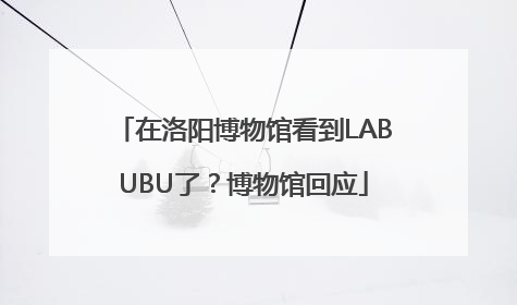 在洛阳博物馆看到LABUBU了？博物馆回应