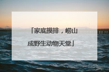 家底摸排，崂山成野生动物天堂