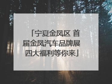 宁夏金凤区 首届金凤汽车品牌展四大福利等你来