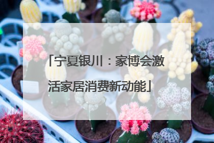 宁夏银川：家博会激活家居消费新动能