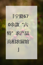 宁夏670余款“六特”农产品亮相农展馆