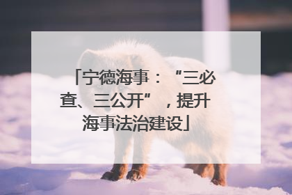 宁德海事：“三必查、三公开”，提升海事法治建设