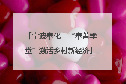 宁波奉化：“奉菁学堂”激活乡村新经济
