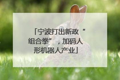 宁波打出新政“组合拳”，加码人形机器人产业