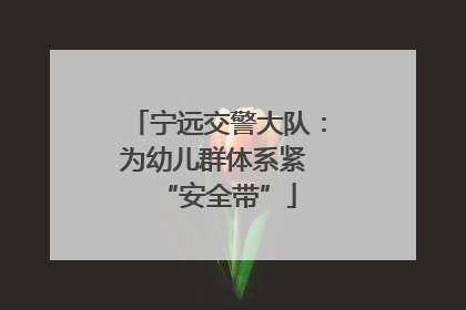 宁远交警大队：为幼儿群体系紧 “安全带”