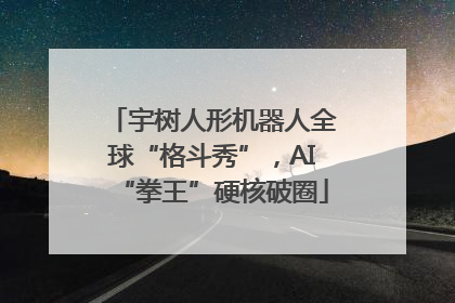宇树人形机器人全球“格斗秀”，AI“拳王”硬核破圈