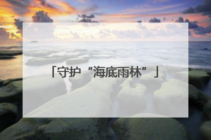 守护“海底雨林”