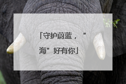 守护蔚蓝，“海”好有你