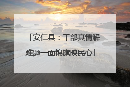 安仁县：干部真情解难题一面锦旗映民心