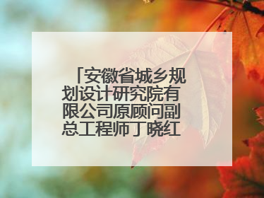 安徽省城乡规划设计研究院有限公司原顾问副总工程师丁晓红接受监察调查