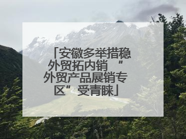 安徽多举措稳外贸拓内销 “外贸产品展销专区”受青睐
