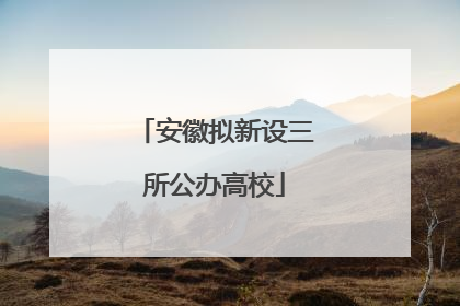 安徽拟新设三所公办高校