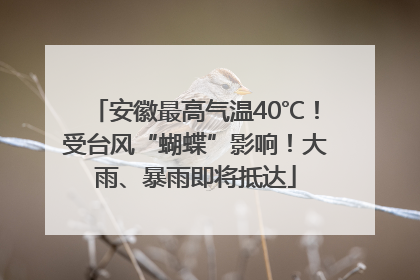 安徽最高气温40℃！受台风“蝴蝶”影响！大雨、暴雨即将抵达