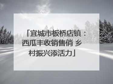 宜城市板桥店镇：西瓜丰收销售俏 乡村振兴添活力