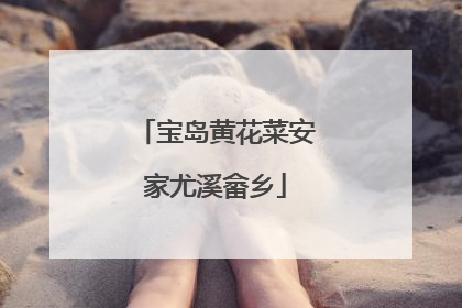 宝岛黄花菜安家尤溪畲乡
