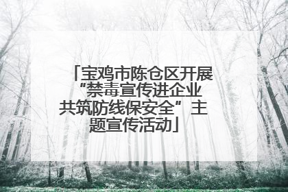 宝鸡市陈仓区开展“禁毒宣传进企业 共筑防线保安全”主题宣传活动