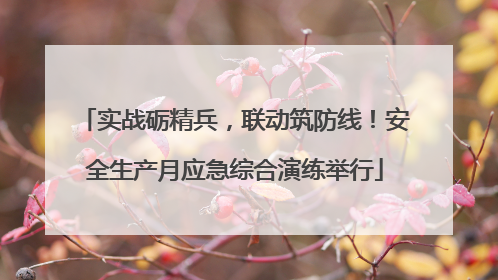 实战砺精兵，联动筑防线！安全生产月应急综合演练举行