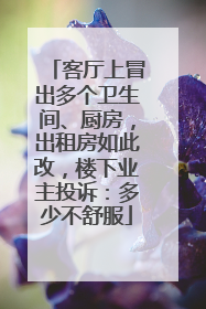 客厅上冒出多个卫生间、厨房，出租房如此改，楼下业主投诉：多少不舒服