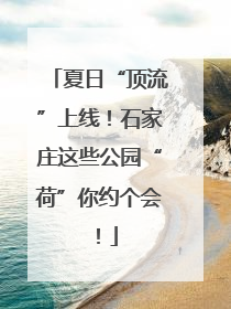夏日“顶流”上线！石家庄这些公园“荷”你约个会！