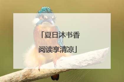 夏日沐书香 阅读享清凉
