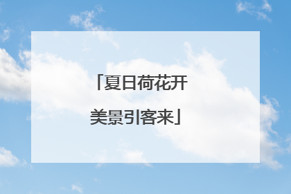 夏日荷花开 美景引客来
