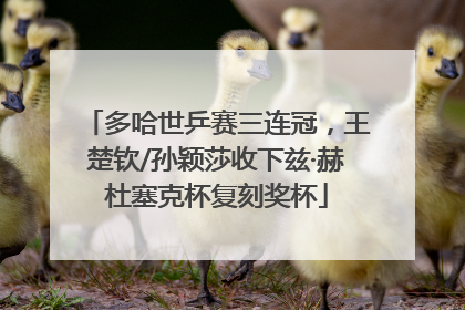 多哈世乒赛三连冠，王楚钦/孙颖莎收下兹·赫杜塞克杯复刻奖杯