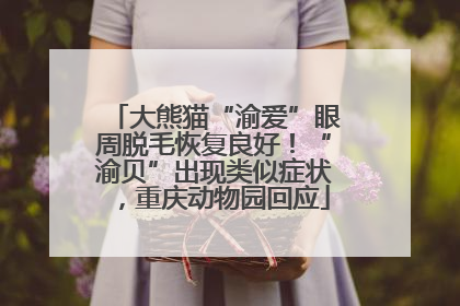 大熊猫“渝爱”眼周脱毛恢复良好！“渝贝”出现类似症状，重庆动物园回应