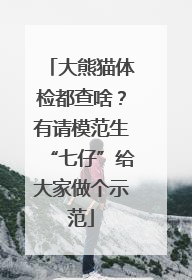 大熊猫体检都查啥？有请模范生“七仔”给大家做个示范