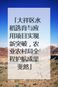 大祥区水稻选育与应用项目实现新突破，农业农村局全程护航成果斐然