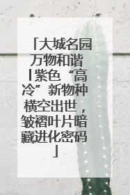 大城名园 万物和谐│紫色“高冷”新物种横空出世，皱褶叶片暗藏进化密码