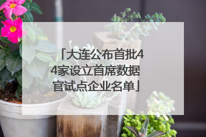 大连公布首批44家设立首席数据官试点企业名单