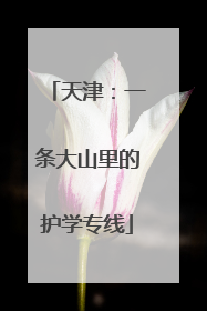 天津：一条大山里的护学专线