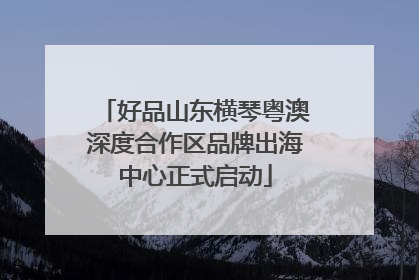 好品山东横琴粤澳深度合作区品牌出海中心正式启动
