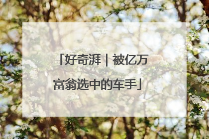 好奇湃｜被亿万富翁选中的车手