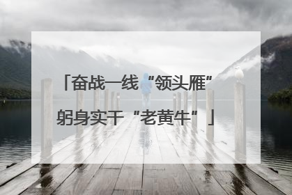 奋战一线“领头雁” 躬身实干“老黄牛”