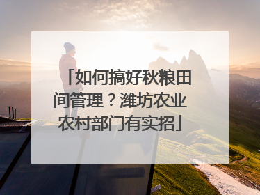 如何搞好秋粮田间管理？潍坊农业农村部门有实招