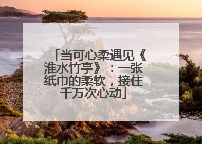 当可心柔遇见《淮水竹亭》：一张纸巾的柔软，接住千万次心动