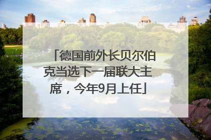 德国前外长贝尔伯克当选下一届联大主席，今年9月上任