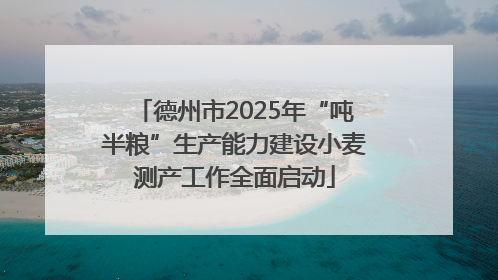 德州市2025年“吨半粮”生产能力建设小麦测产工作全面启动