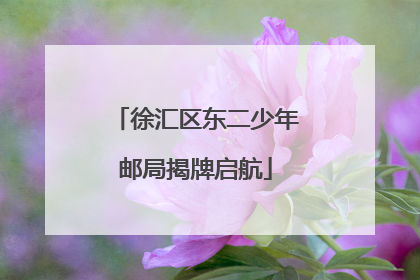 徐汇区东二少年邮局揭牌启航