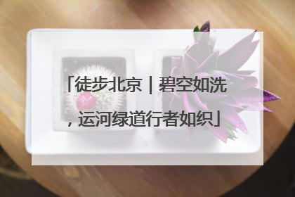 徒步北京｜碧空如洗，运河绿道行者如织